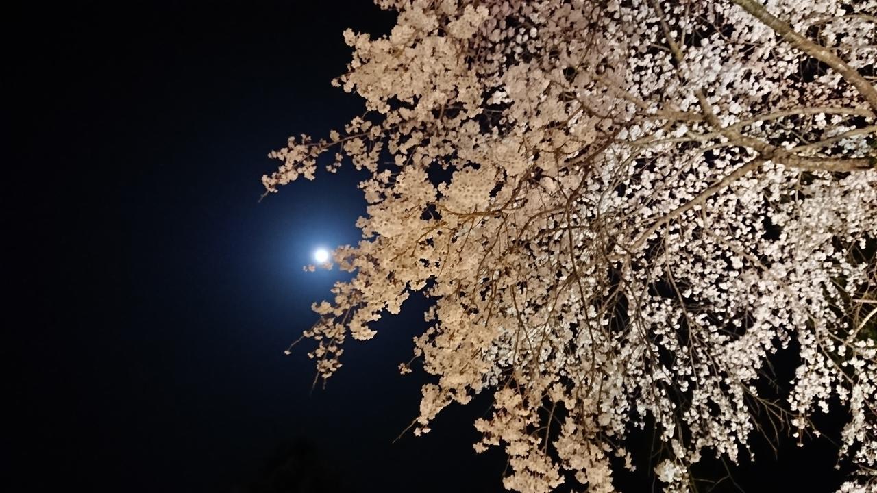 Temple Lodging Shukubo Kakurinbo Minobu Exteriér fotografie